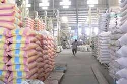 Rice farmers think big to improve income