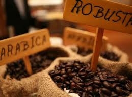 vietnam takes part in coffee conference in london