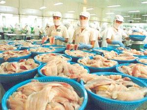 Mekong Delta earns 1.1 billion from tra fish exports