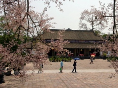 hue garden to preserve rare and precious plants