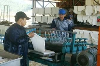 New rubber processing plant opens in Quang Nam