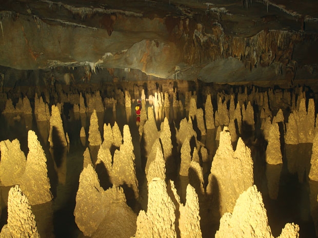 phong nha ke bang, tourists, heritage, unesco, cave, son doong