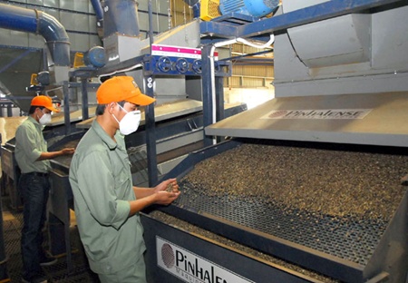 coffee makers seek to scrap vat