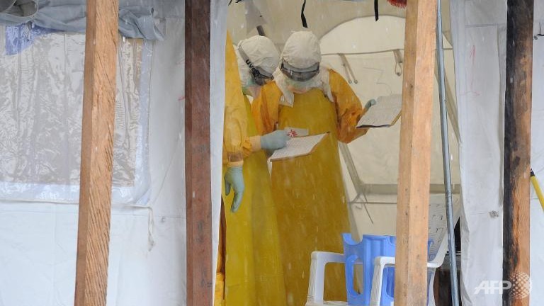 ebola kills 31 people in dr congo who