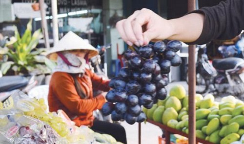 chinese pears with preservatives remain fresh after 5 months