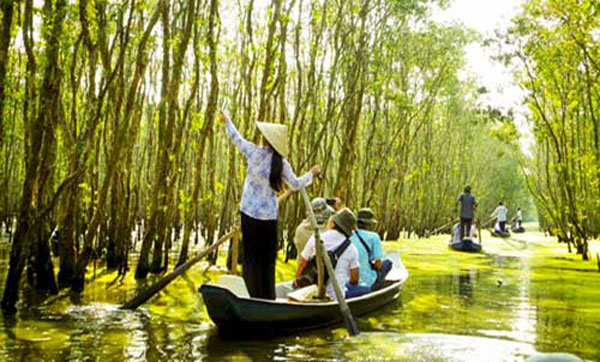 Dong Thap, Go Thap lotus fields, wild wetlands