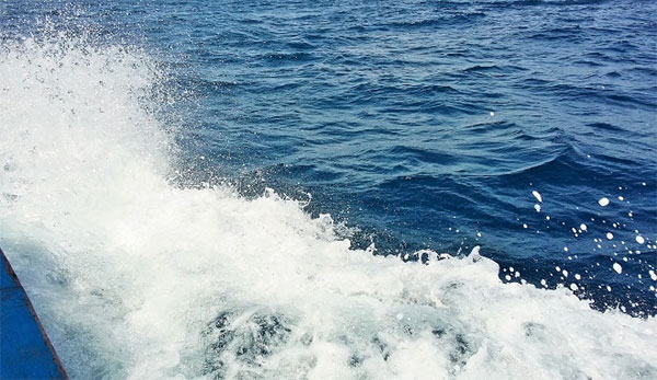 Ly Son Island, An Binh Islands, boat