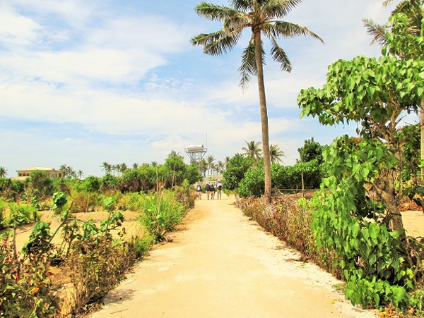 Ly Son Island, An Binh Islands, boat
