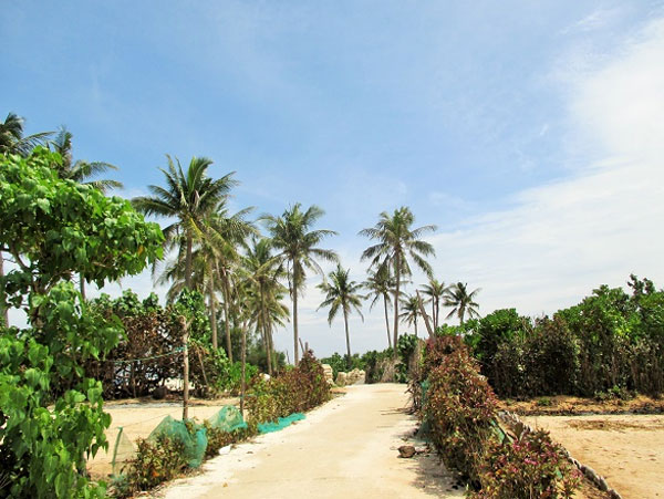 Ly Son Island, An Binh Islands, boat