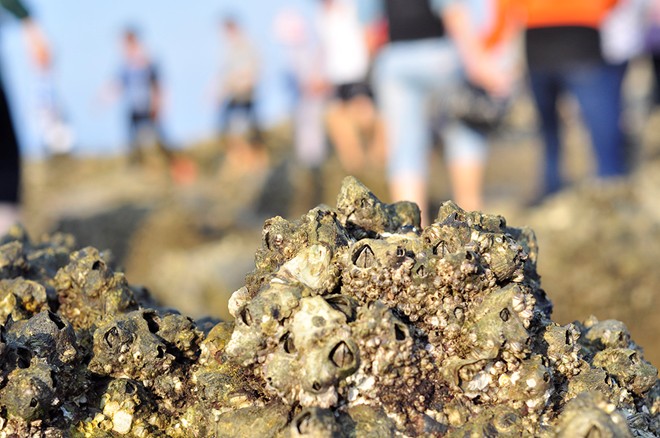 Con đường ra đảo chìm dưới đáy biển 2 mét