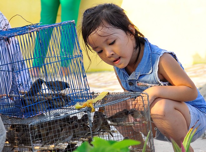 Con đường ra đảo chìm dưới đáy biển 2 mét