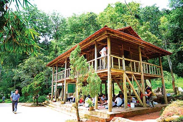 dong cao plateau and khe ro forest