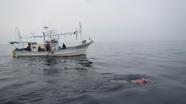 japanese man 73 completes record swim across strait