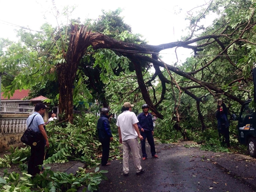 1 dead 8 injured by typhoon rai