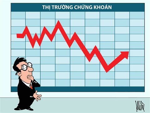 energy and banking finance industries drive vn stocks down