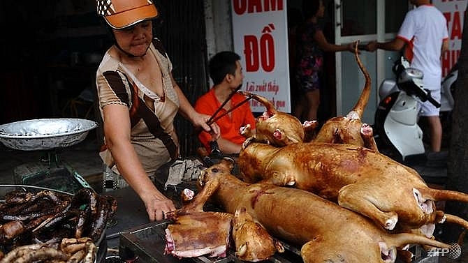 hanoi urges residents to stop eating dog meat