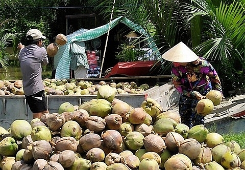 ben tre promotes investments in agriculture
