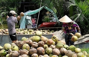 Ben Tre promotes investments in agriculture