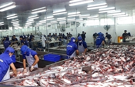 Tra fish companies see stock prices plummet