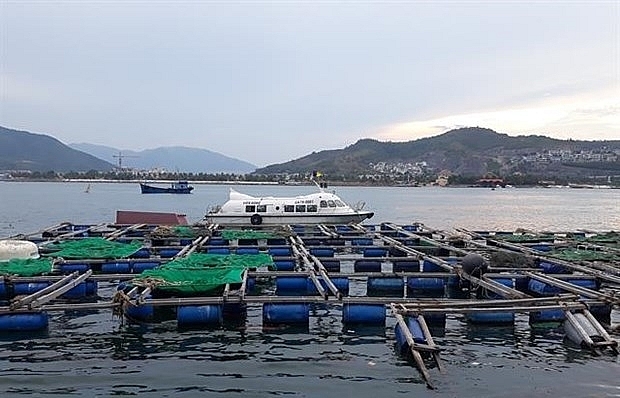 Nha Trang sets up zone for cage aquaculture