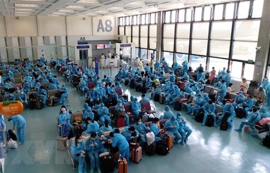 230 Vietnamese citizens flown home