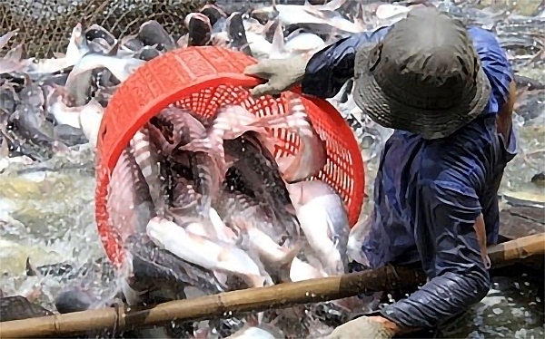 saudi arabia to import seafood from 12 vietnamese firms