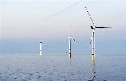 Vietnam has great potential for wind power: conference