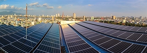 da nang city begins 1 million green house projects