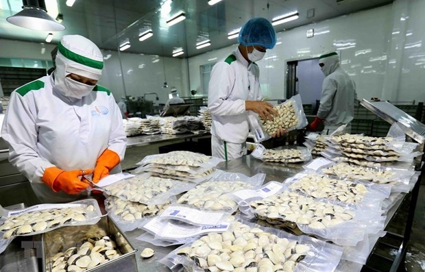 Action urged to lighten the load for seafood groups