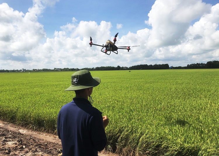 Digital transformation to help Vietnam's agricultural sector survive COVID-19 storm