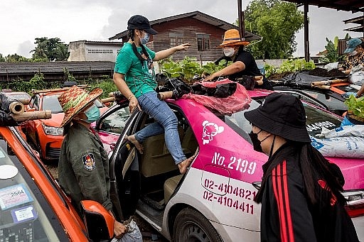 Staff members of a taxi rental garage plant vegetables on the roof of one of the firm's vehicles currently out of service due to the downturn in business as a result of the Covid-19 coronavirus pandemic in Bangkok on September 15, 2021. Jack TAYLOR / AFP