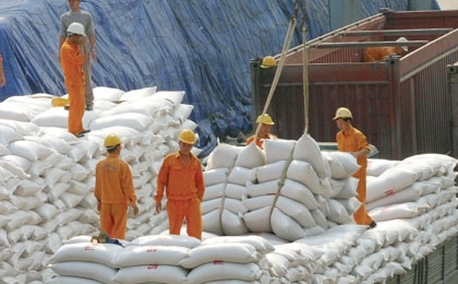 Rice exports breaking records