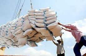 hiking rice export prices might endanger the domestic market