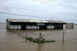 mekong delta floods push death toll to 43