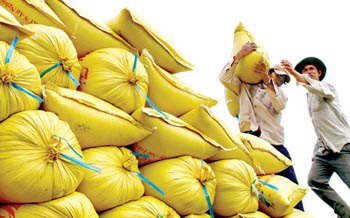 Rice demand growing globally: chairman of Rice Trader