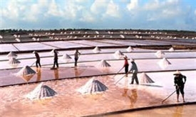 Salt production and business under review