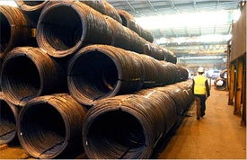 Tata clings to steel project ambitions