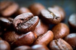 coffee exporters to face new rules