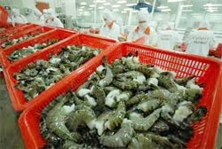 mekong delta boosts exports of agricultural products