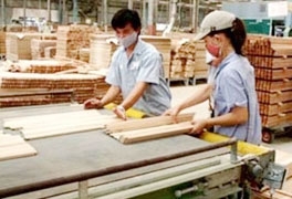Canadian businesses explore Vietnam’s wood processing