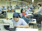 Garment sector strives for $17 billion in export