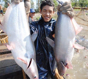 Investment net for Mekong seafood
