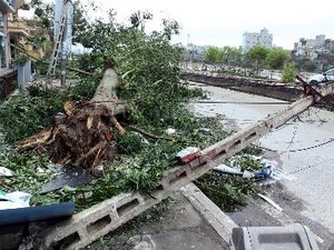 Northern region repairs typhoon damage