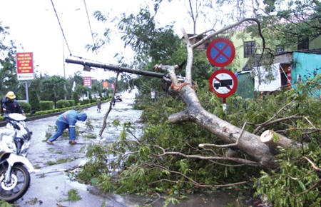 tropical storm wutip hits central provinces