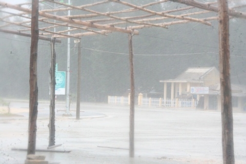 nari, storm, central vietnam