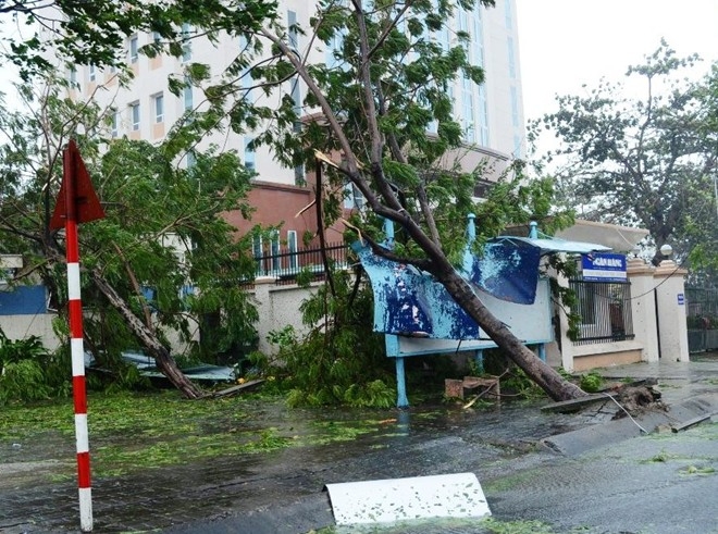 nari, storm, central vietnam