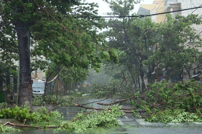 nari, storm, central vietnam