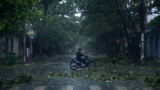 nari, storm, central vietnam