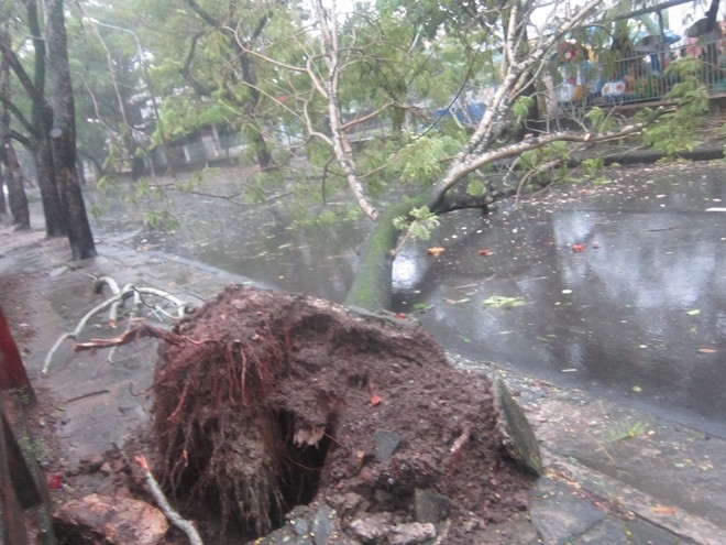 nari, storm, central vietnam