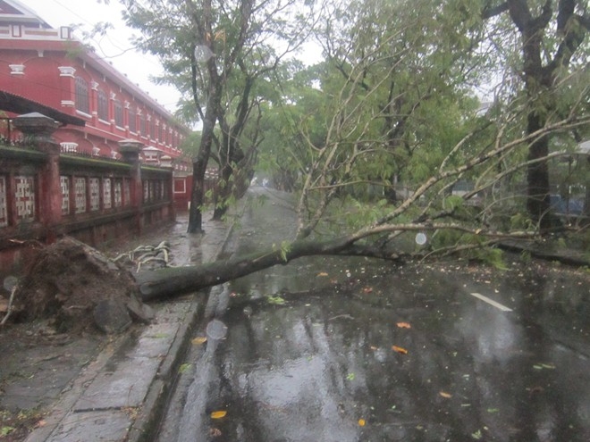 nari, storm, central vietnam